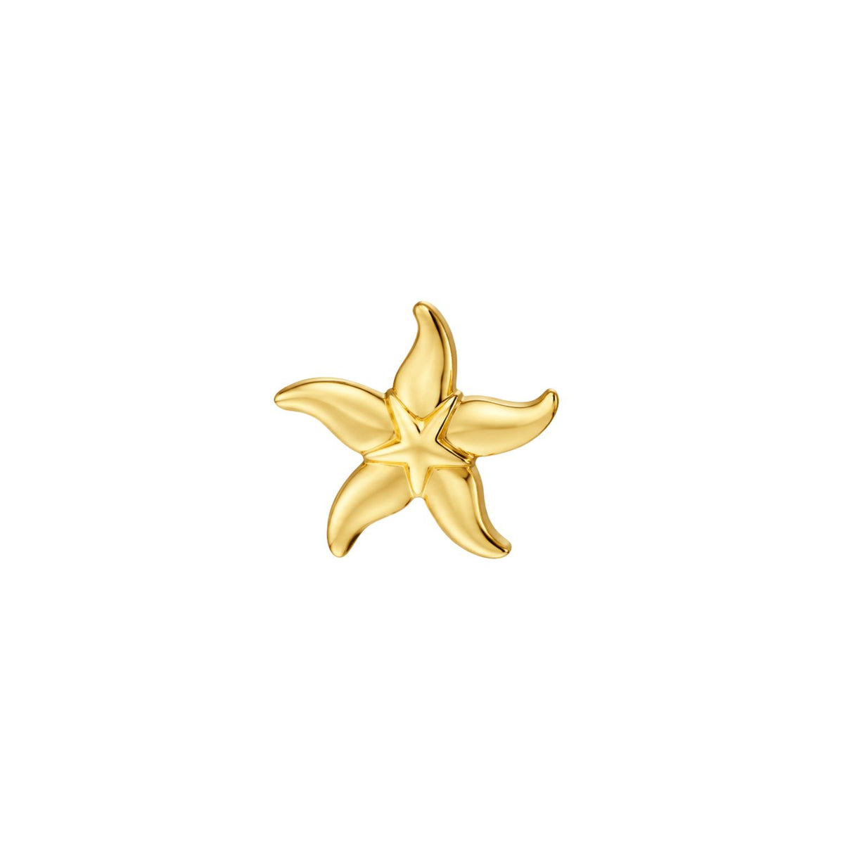 Single Starfish Stud Earring in 14K Yellow Gold