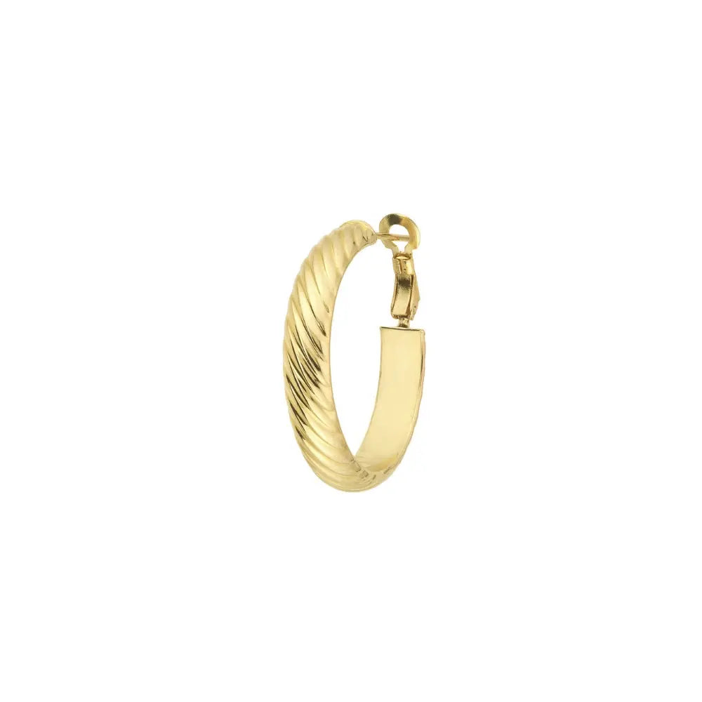   Golden Twisted Hoop Earrings Princess Jewelry Shop